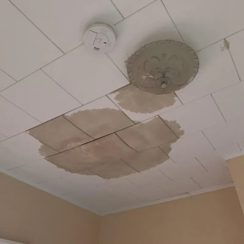 Ceiling Water Damage Repair in Jones County, TX