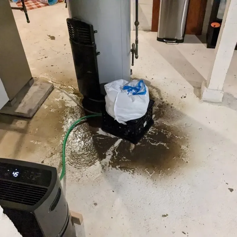 Sewage Backup Cleanup Service in Jones County, TX